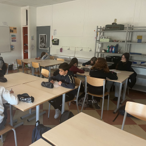 Sciences