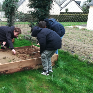 Préparation des carrés potagers