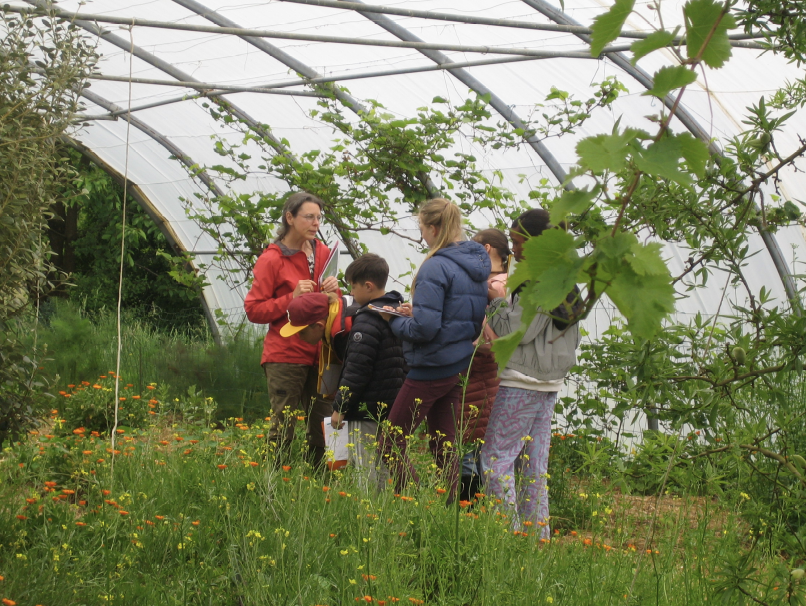 Capture d'écran 2025-01-07 à 11.46.32